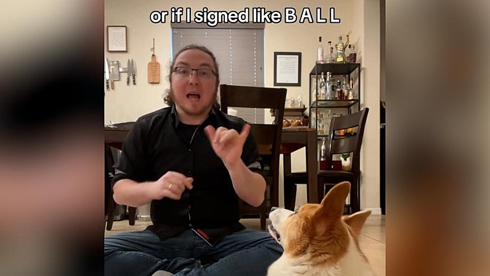 content image